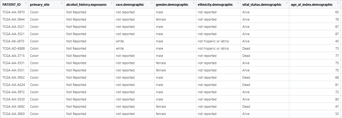 image-20250329205321249